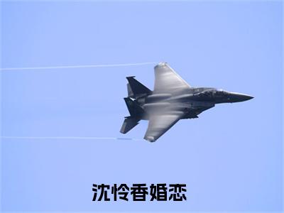 王府小奶娘（沈怜香）全文免费阅读无弹窗_王府小奶娘最新小说_笔趣阁