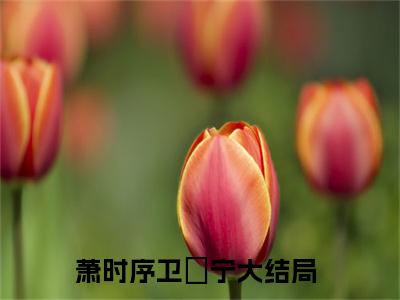 萧时序卫婠宁榜单小说全文免费阅读无弹窗大结局-萧时序卫婠宁全文在线阅读