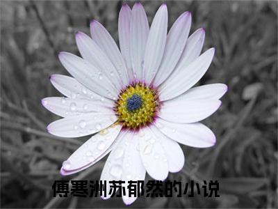 傅寒洲苏郁然小说免费阅读无弹窗《她当了傅爷五年的药引》_她当了傅爷五年的药引全文阅读傅寒洲苏郁然