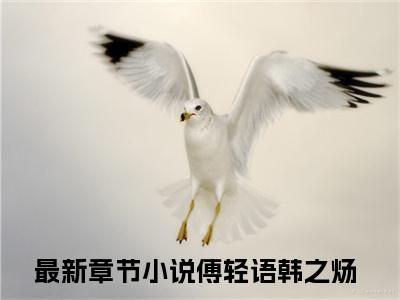 傅轻语韩之炀小说（傅轻语韩之炀）全文免费阅读无弹窗大结局_傅轻语韩之炀最新章节列表_笔趣阁