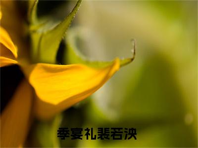 季宴礼裴若泱免费季宴礼裴若泱读无弹窗最新章节列表_笔趣阁（季宴礼裴若泱）