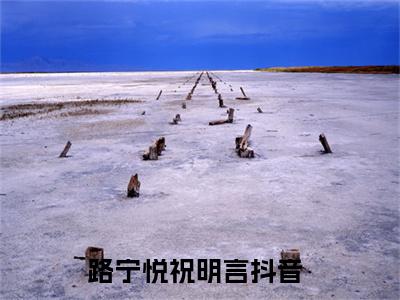 路宁悦祝明言（路宁悦祝明言）全文免费阅读无弹窗大结局_路宁悦祝明言完整版小说阅读