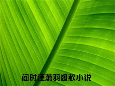 阎时湮萧羽（阎时湮萧羽）热门小说在哪免费看-阎时湮萧羽小说全章节阅读