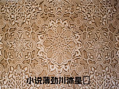 薄劲川沐星珝（薄劲川沐星珝）全文免费阅读_薄劲川沐星珝最新章节列表_笔趣阁