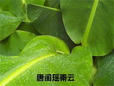 刚结婚，就让我觉醒最强天赋？免费小说-（刚结婚，就让我觉醒最强天赋？）唐闺瑶秦云完结版在线阅读
