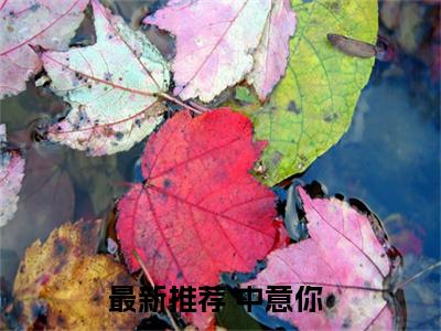 中意你免费阅读无弹窗大结局，苏沫秦琛（最新全章节）全文阅读免费阅读-笔趣阁
