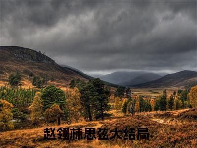 赵翎林思弦小说热门榜单免费阅读，赵翎林思弦抖音新上热文分享_笔趣阁