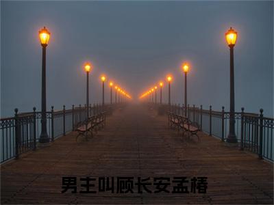 顾长安孟椿全网首发小说- 顾长安孟椿美文无删阅读