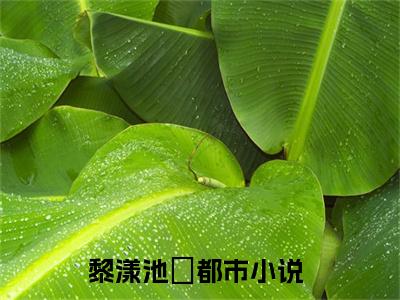 黎漾池璟小说（黎漾池璟）免费阅读全文无弹窗大结局_黎漾池璟免费阅读无弹窗小说_小说笔趣阁