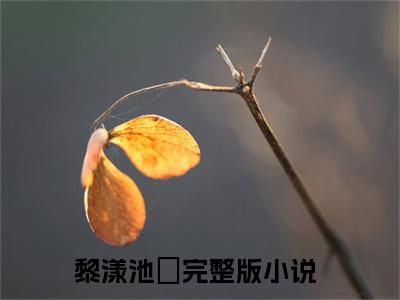 黎漾池璟（黎漾池璟）小说全文在线阅读_黎漾池璟最新章节在线阅读_笔趣阁
