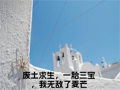 废土求生，一胎三宝，我无敌了麦芒(废土求生，一胎三宝，我无敌了麦芒)最新章节在线阅读-废土求生，一胎三宝，我无敌了麦芒已完结全集大结局小说