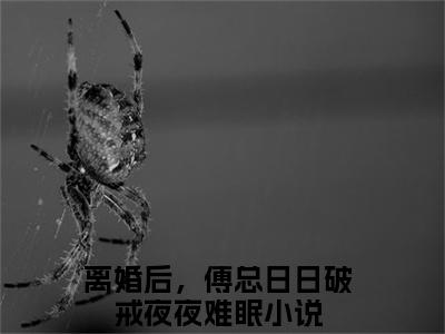 叶聆之傅明司（离婚后，傅总日日破戒夜夜难眠）全文免费阅读无弹窗大结局_叶聆之傅明司小说（离婚后，傅总日日破戒夜夜难眠）最新章节列表