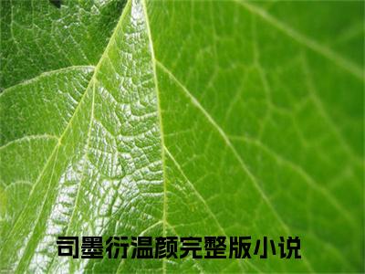 (番外)+(全文)司墨衍温颜后续+番外小说免费下载阅读司墨衍温颜后续+番外小说最新章节列表_笔趣阁（司墨衍温颜后续+番外）
