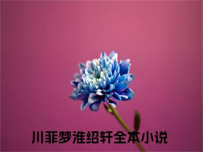 川菲梦淮绍轩小说精彩章节今日阅读更新-（川菲梦淮绍轩小说）免费阅读小说全文