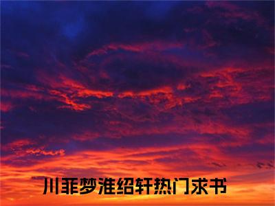 完本小说（川菲梦淮绍轩）精彩试读-川菲梦淮绍轩小说大结局