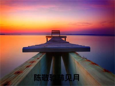 陈敬驰林见月免费阅读无广告 （陈敬驰林见月大结局免费阅读）陈敬驰林见月是啥小说