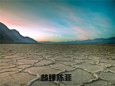 林锋陈菲（系统：捡漏百万古董）全文免费阅读无弹窗大结局_（系统：捡漏百万古董阅读无弹窗）林锋陈菲小说_笔趣阁