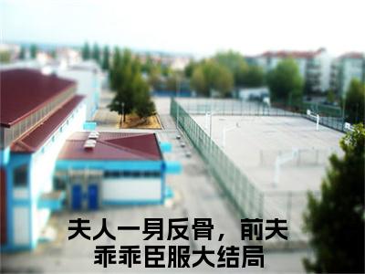 沈絮靳晏臣（夫人一身反骨，前夫乖乖臣服）全文免费阅读无弹窗大结局_沈絮靳晏臣全文阅读_笔趣阁（夫人一身反骨，前夫乖乖臣服）
