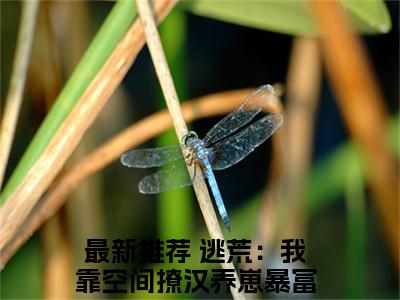 逃荒：我靠空间撩汉养崽暴富（魏佳柠孟知廷最新全章节大结局）全文阅读-逃荒：我靠空间撩汉养崽暴富魏佳柠孟知廷在线小说免费阅读