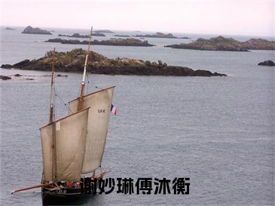 谢妙琳傅沐衡(谢妙琳傅沐衡)全文免费阅读无弹窗大结局_ 谢妙琳傅沐衡免费阅读最新章节列表_笔趣阁