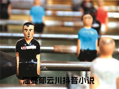 温蔓郁云川小说全文免费阅读无弹窗大结局_温蔓郁云川最新章节列表_笔趣阁