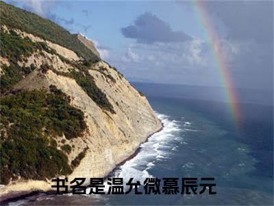 温允微慕辰元（温允微慕辰元）全文免费阅读无弹窗_温允微慕辰元最新小说_笔趣阁（温允微慕辰元）
