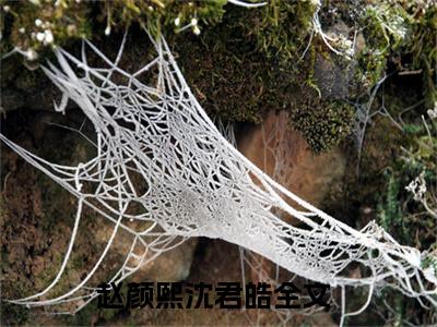 赵颜熙沈君皓(赵颜熙沈君皓)全文在线阅读无弹窗_赵颜熙沈君皓小说全文大结局