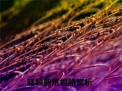 赵颜熙沈君皓（赵颜熙沈君皓免费阅读无弹窗）赵颜熙沈君皓最新章节列表_笔趣阁