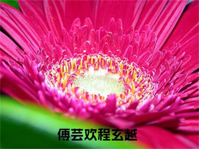 傅芸欢程玄越小说精彩章节今日阅读更新-（傅芸欢程玄越小说）免费阅读小说全文