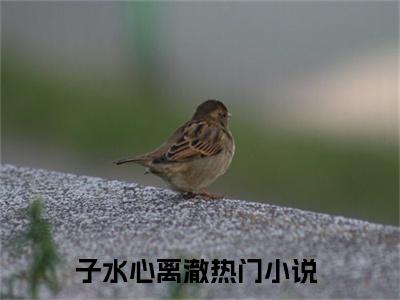 子水心离澈（子水心离澈）小说在线阅读-最新小说子水心离澈全文阅读
