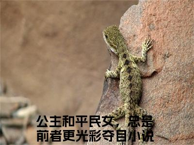 公主和平民女，总是前者更光彩夺目小说全文免费阅读（傅淮周念）全文免费阅读无弹窗_公主和平民女，总是前者更光彩夺目小说全文免费阅读_笔趣阁