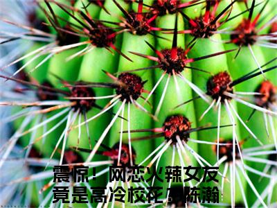 震惊！网恋火辣女友竟是高冷校花？陈瀚(震惊！网恋火辣女友竟是高冷校花？陈瀚)全文免费阅读大结局_震惊！网恋火辣女友竟是高冷校花？陈瀚免费在线阅读_笔趣阁（震惊！网恋火辣女友竟是高冷校花？陈瀚）
