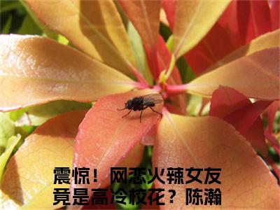 震惊！网恋火辣女友竟是高冷校花？陈瀚（震惊！网恋火辣女友竟是高冷校花？陈瀚）全文免费阅读无弹窗_震惊！网恋火辣女友竟是高冷校花？陈瀚最新小说_笔趣阁（震惊！网恋火辣女友竟是高冷校花？陈瀚）