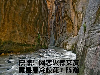 （震惊！网恋火辣女友竟是高冷校花？陈瀚）全文免费阅读无弹窗大结局_（震惊！网恋火辣女友竟是高冷校花？陈瀚）章节列表_笔趣阁