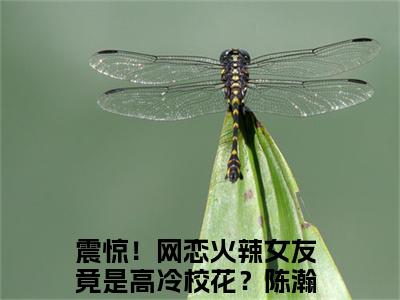 震惊！网恋火辣女友竟是高冷校花？陈瀚(震惊！网恋火辣女友竟是高冷校花？陈瀚)全文无弹窗大结局_震惊！网恋火辣女友竟是高冷校花？陈瀚在线阅读无弹窗最新章节列表_笔趣阁