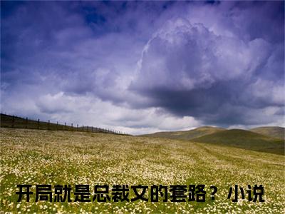 开局就是总裁文的套路？全文免费阅读大结局_开局就是总裁文的套路？（南洙决陆岑岑）完整版在线赏析