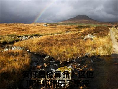 狗仔直播算命，这位顶流你塌房了萧探小说在线阅读全文完整版免费阅读_狗仔直播算命，这位顶流你塌房了萧探小说免费最新章节列表