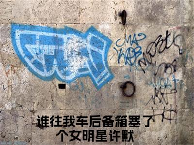 谁往我车后备箱塞了个女明星许默全文免费阅读无弹窗大结局_ （谁往我车后备箱塞了个女明星许默完结）谁往我车后备箱塞了个女明星许默小说最新章节列表