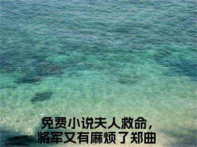 夫人救命，将军又有麻烦了郑曲尺精彩小说（夫人救命，将军又有麻烦了郑曲尺）阅读大结局 夫人救命，将军又有麻烦了郑曲尺免费版小说更新阅读_笔趣阁