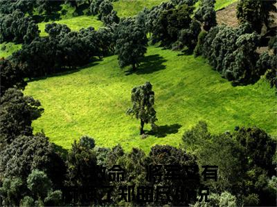 夫人救命，将军又有麻烦了郑曲尺全文（夫人救命，将军又有麻烦了郑曲尺）完整版小说阅读_夫人救命，将军又有麻烦了郑曲尺全本列表免费笔趣阁（夫人救命，将军又有麻烦了郑曲尺）