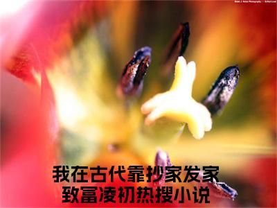 我在古代靠抄家发家致富凌初（我在古代靠抄家发家致富凌初）全文免费阅读无弹窗_我在古代靠抄家发家致富凌初最新小说_笔趣阁（我在古代靠抄家发家致富凌初）