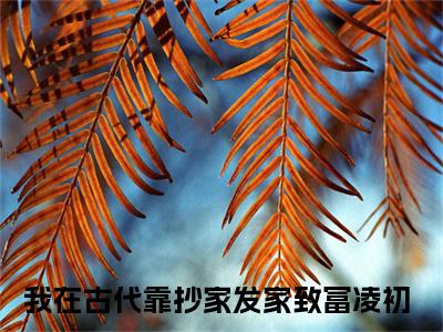 (抖音小说)我在古代靠抄家发家致富凌初免费阅读我在古代靠抄家发家致富凌初在线阅读大结局