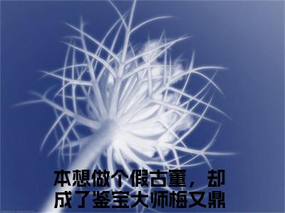 本想做个假古董，却成了鉴宝大师梅又鼎爽文免费阅读完整版-本想做个假古董，却成了鉴宝大师梅又鼎阅读大结局本想做个假古董，却成了鉴宝大师梅又鼎