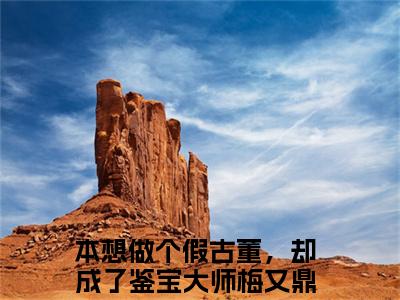 本想做个假古董，却成了鉴宝大师梅又鼎小说（本想做个假古董，却成了鉴宝大师梅又鼎）免费观看-本想做个假古董，却成了鉴宝大师梅又鼎高质量小说推荐阅读