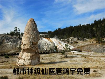 （都市神级仙医唐鸿宇）全文免费阅读无弹窗大结局_都市神级仙医唐鸿宇免费最新章节列表_笔趣阁