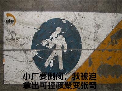 小厂要倒闭，我被迫拿出可控核聚变张奇(小厂要倒闭，我被迫拿出可控核聚变张奇)全文免费阅读无弹窗大结局_小厂要倒闭，我被迫拿出可控核聚变张奇免费阅读最新章节列表_笔趣阁（小厂要倒闭，我被迫拿出可控核聚变张奇）