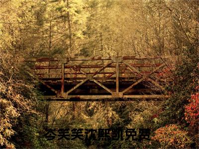 岑笑笑沈熙凯爽文免费阅读完整版-岑笑笑沈熙凯阅读大结局岑笑笑沈熙凯