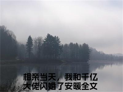 相亲当天，我和千亿大佬闪婚了安暖最新章节小说推荐阅读-新书相亲当天，我和千亿大佬闪婚了安暖精彩片段阅读