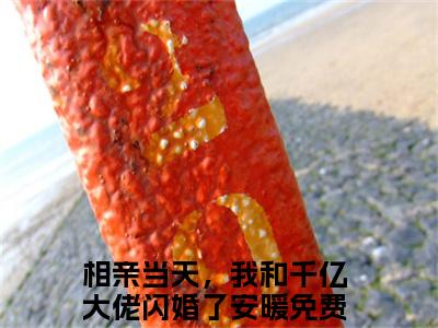 相亲当天，我和千亿大佬闪婚了安暖（相亲当天，我和千亿大佬闪婚了安暖）全文免费阅读无弹窗大结局_相亲当天，我和千亿大佬闪婚了安暖免费阅读无弹窗