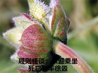 规则怪谈：欢迎乘坐死亡列车徐淼(规则怪谈：欢迎乘坐死亡列车徐淼)全文免费阅读无弹窗大结局_规则怪谈：欢迎乘坐死亡列车徐淼